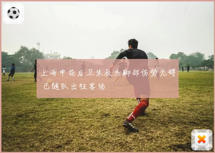 上海申花后卫朱辰杰脚部伤势无碍 已随队出征客场