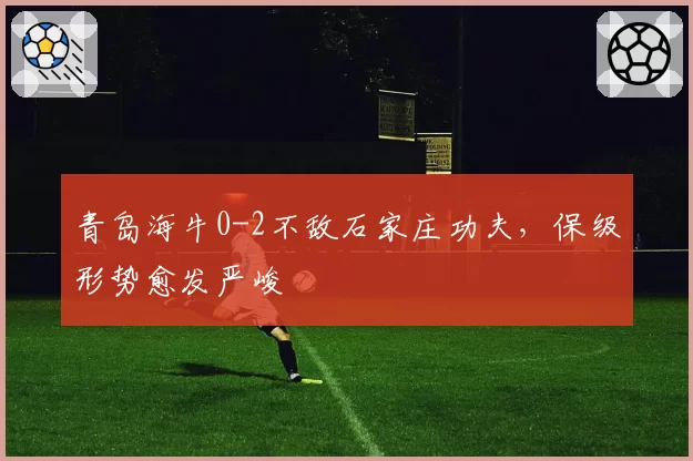 青岛海牛0-2不敌石家庄功夫,保级形势愈发严峻