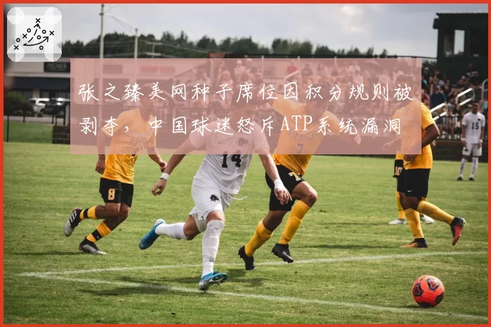 张之臻美网种子席位因积分规则被剥夺,中国球迷怒斥ATP系统漏洞